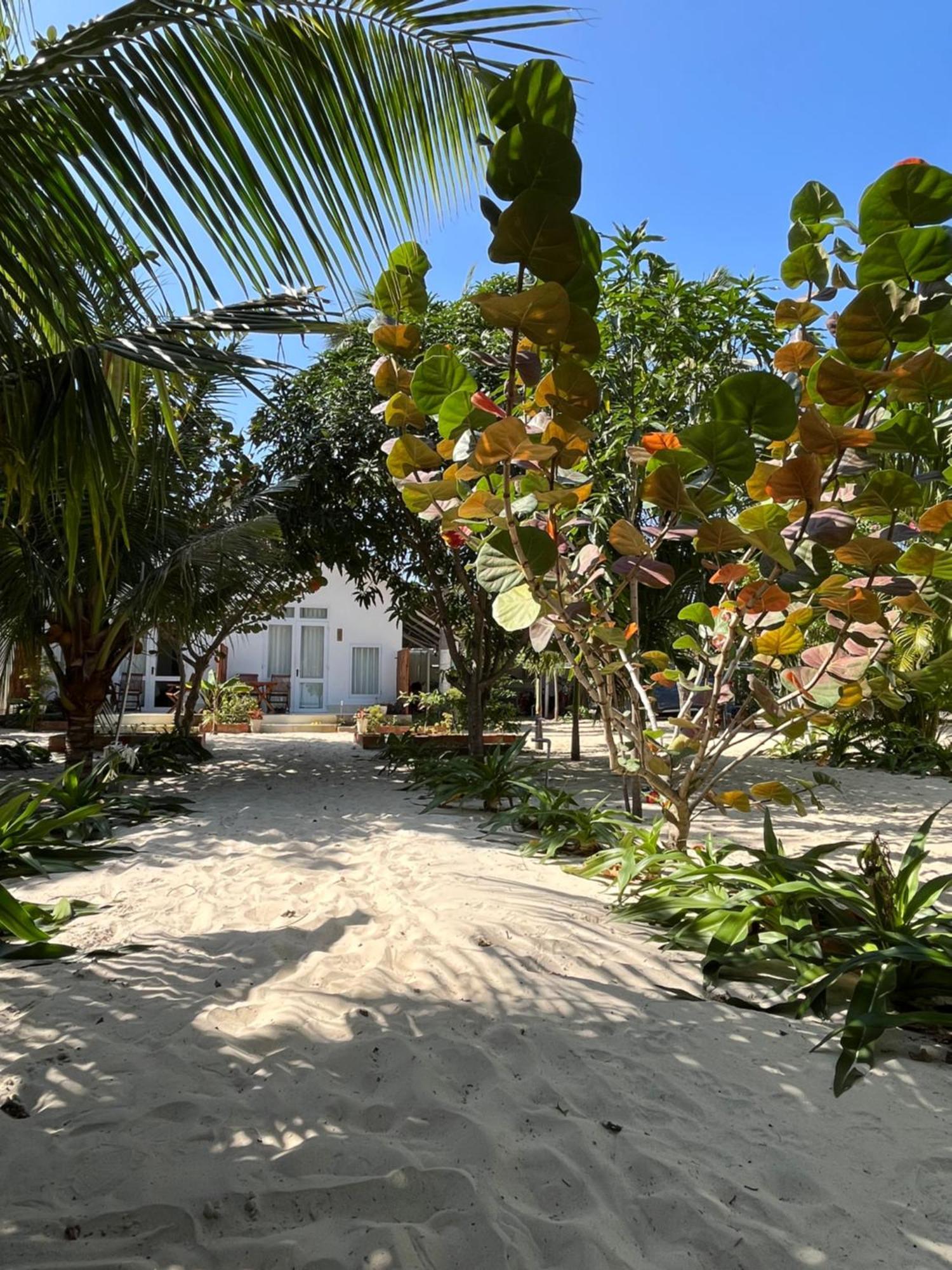 Robinson Beach Bungalow Vinh Hoa Exterior foto