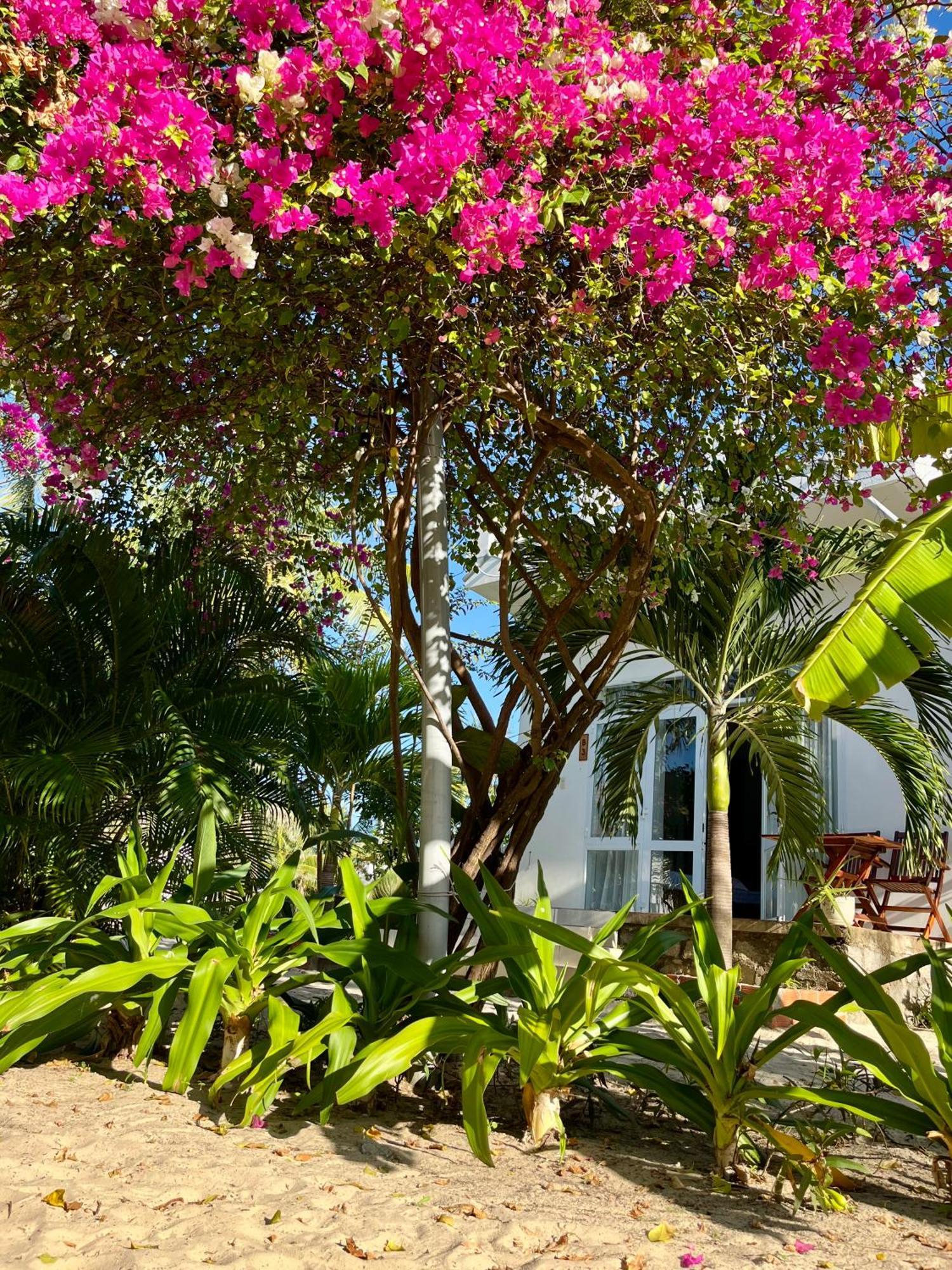 Robinson Beach Bungalow Vinh Hoa Exterior foto